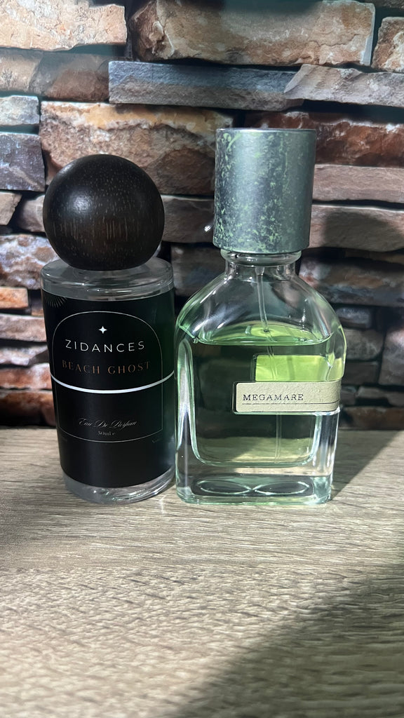 Beach ghost – Zidances